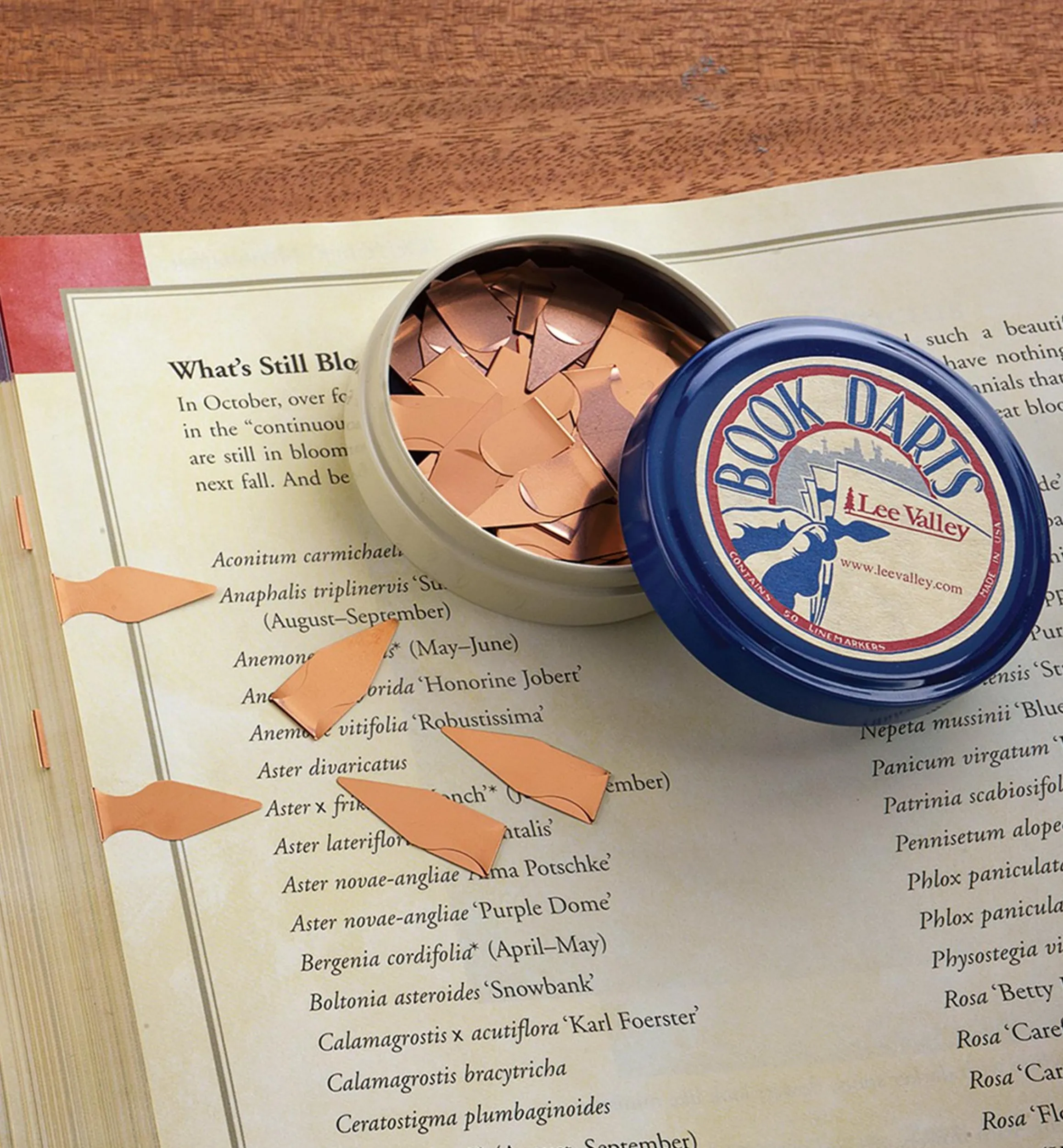 Lee Valley Office>Book Darts