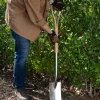 Lee Valley Spades>Border Spade