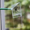 Lee Valley Pest Control>Bug Trapper