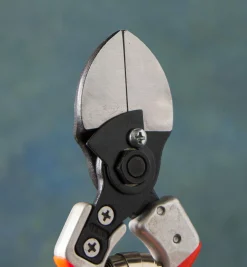 Lee Valley Pruners><noscript><img width=
