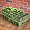 Lee Valley Propagation>Deep Rootrainers Set