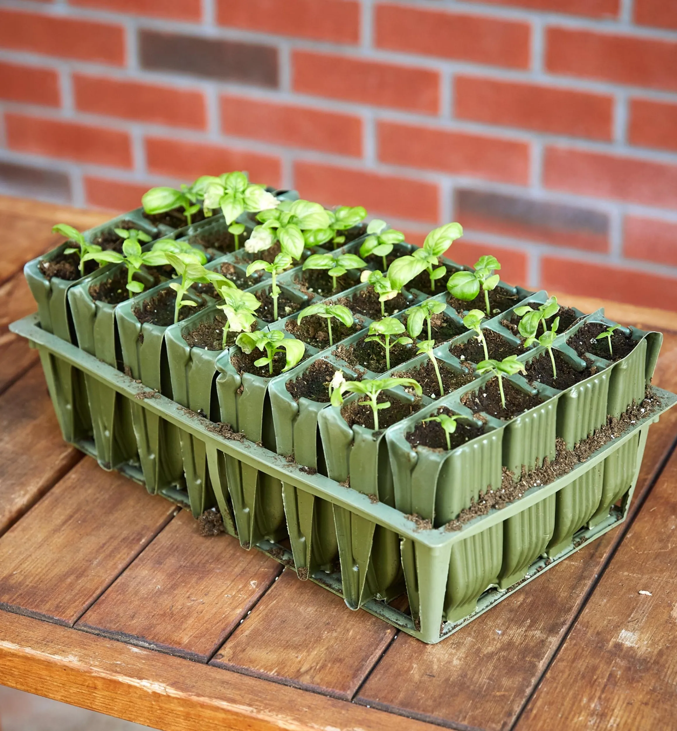 Lee Valley Propagation>Deep Rootrainers Set