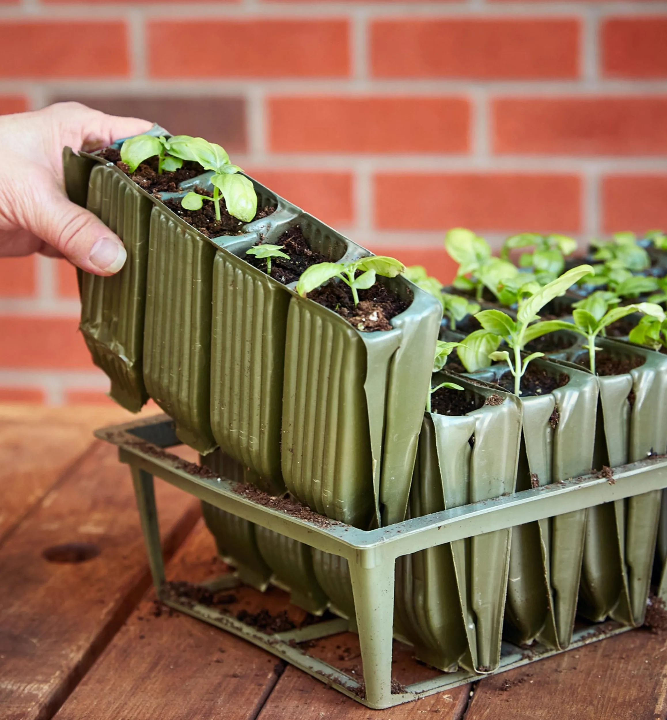Lee Valley Propagation>Deep Rootrainers Set