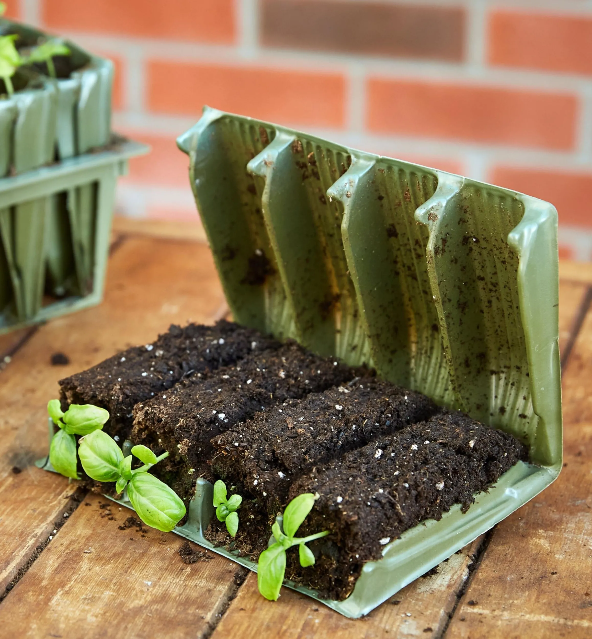 Lee Valley Propagation>Deep Rootrainers Set
