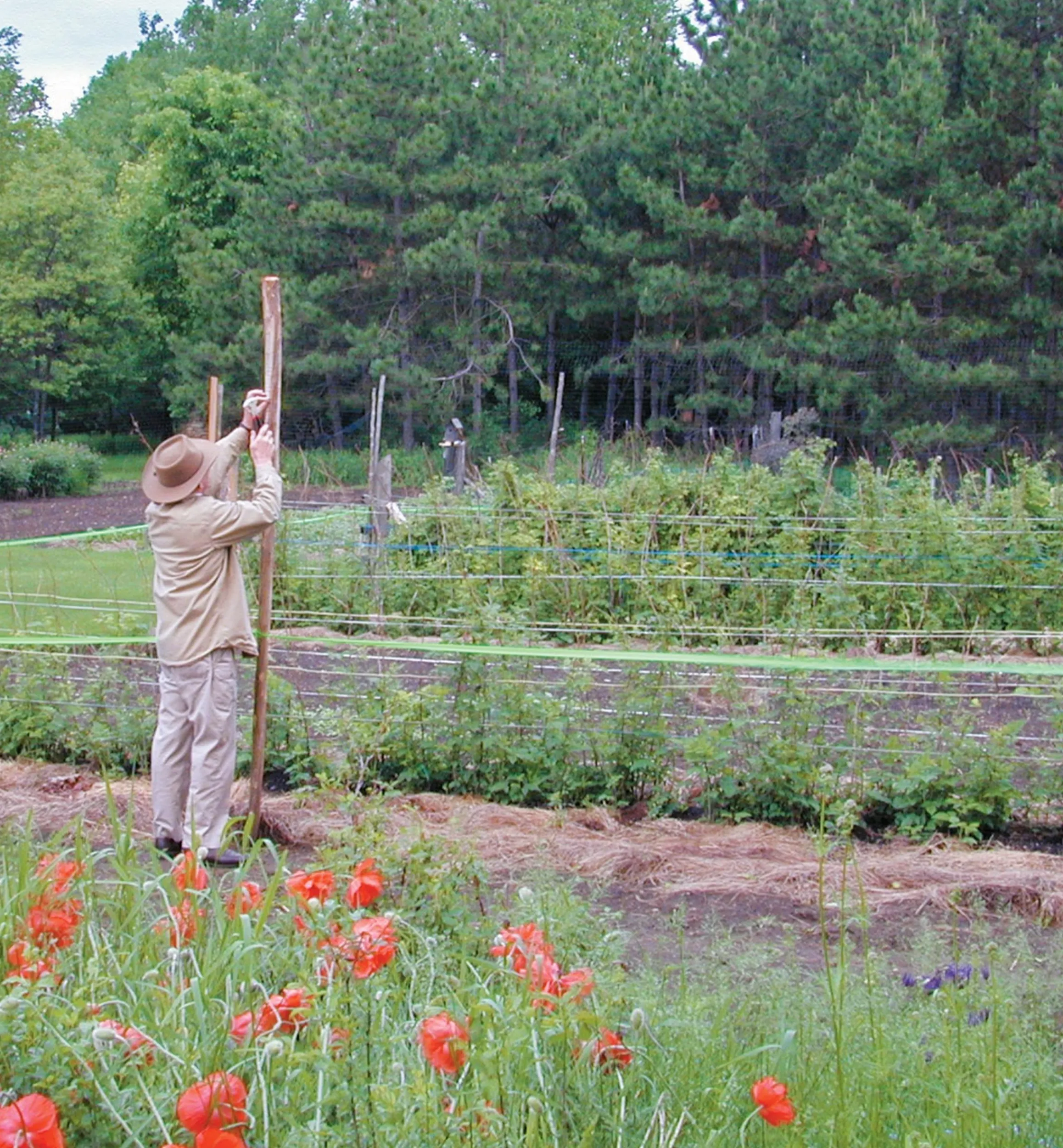 Lee Valley Pest Control>Deer Fence