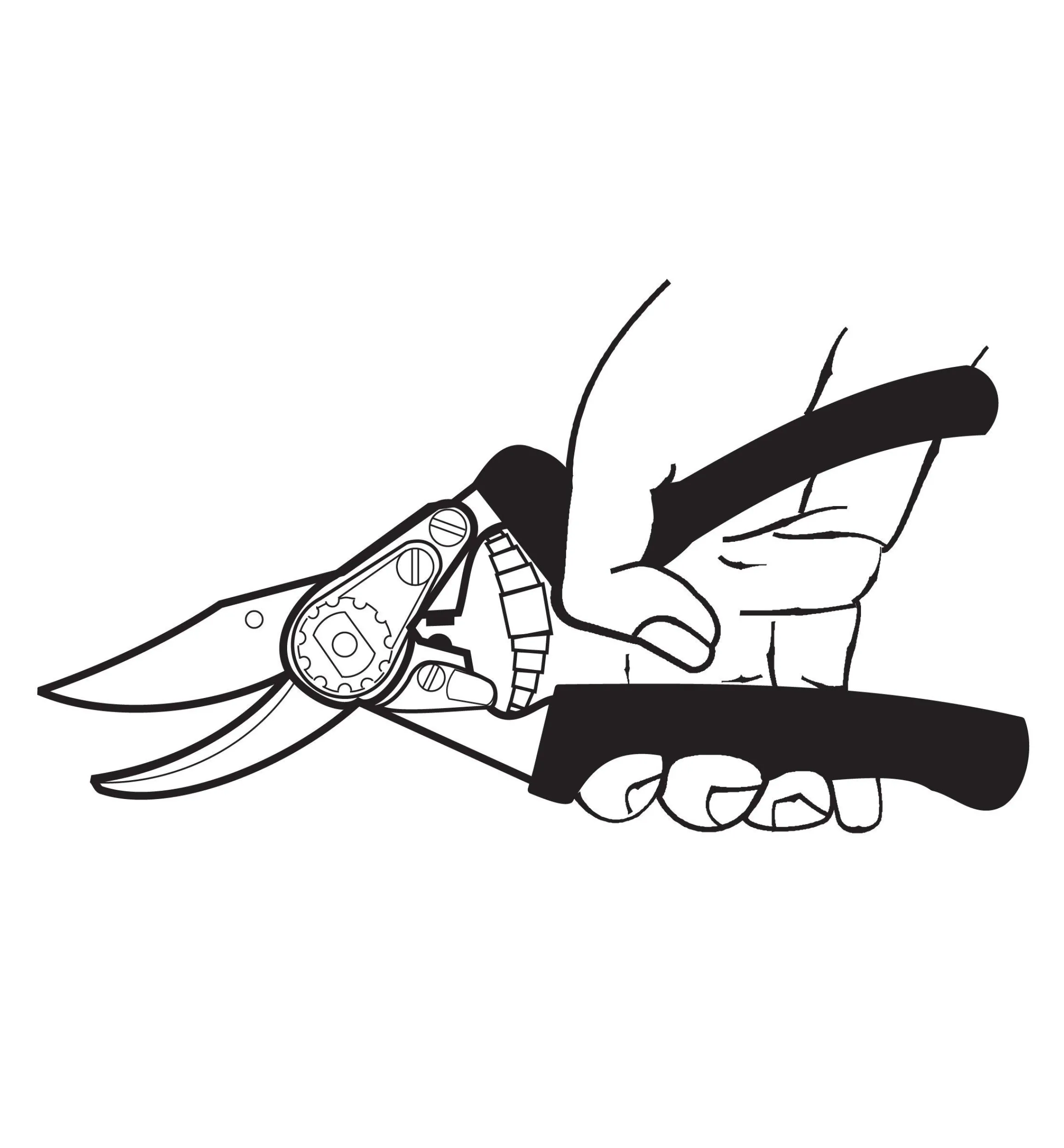 Lee Valley Pruners>Felco #10 Left-Hand Pruner