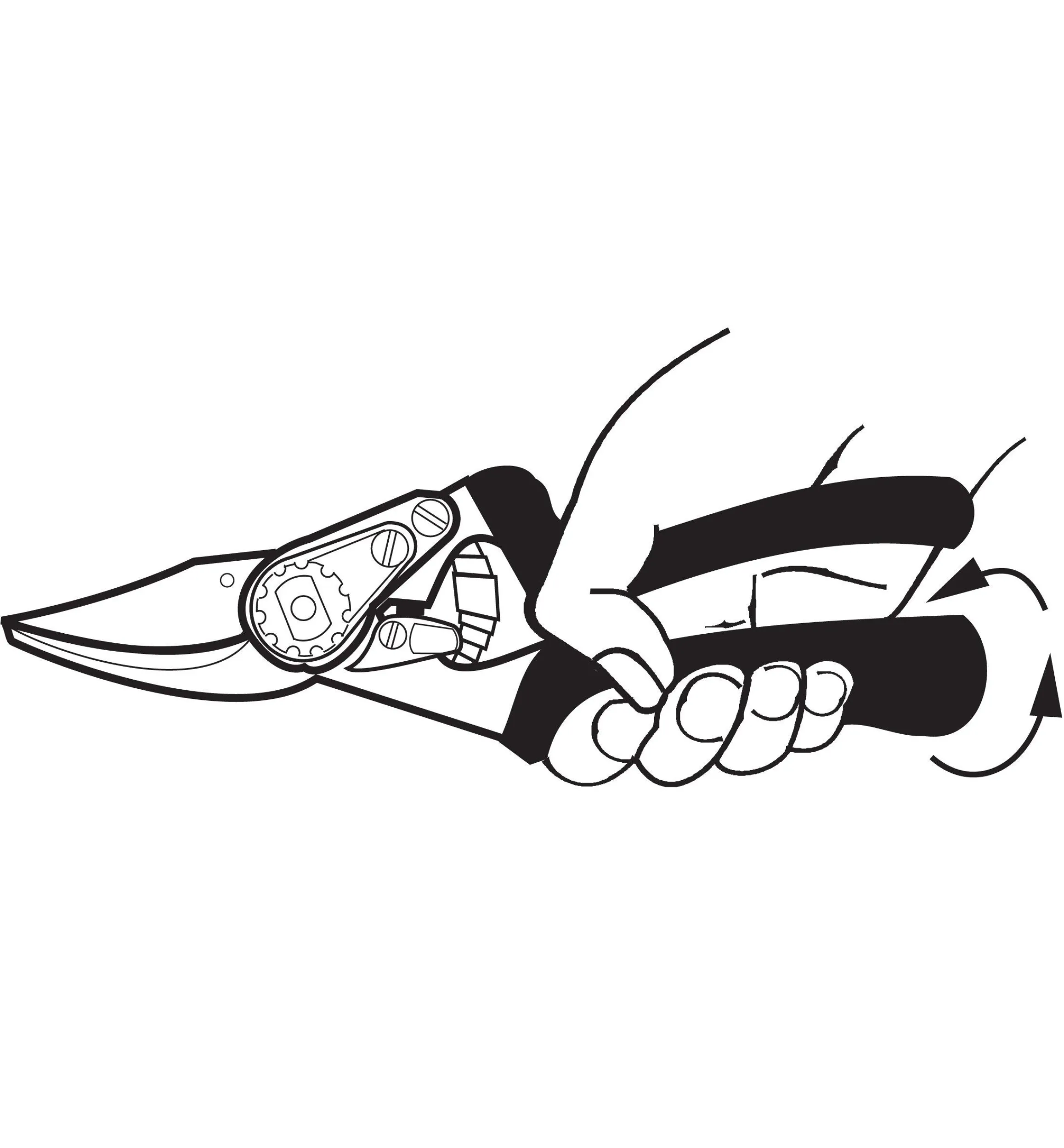 Lee Valley Pruners>Felco #10 Left-Hand Pruner