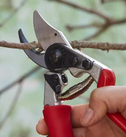 Lee Valley Pruners><noscript><img width=