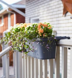 Lee Valley Container Gardening><noscript><img width=