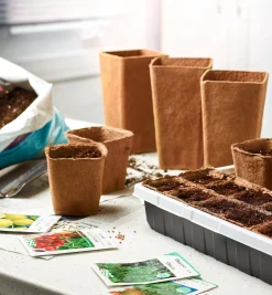 Lee Valley Seed Starting><noscript><img width=