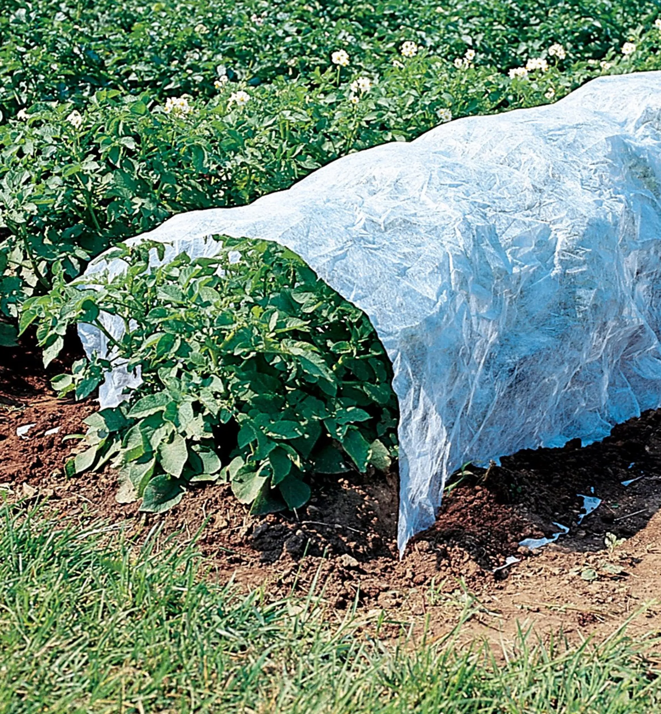 Lee Valley Plant Protection>Floating Row Cover