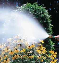 Lee Valley Hoses & Accessories><noscript><img width=