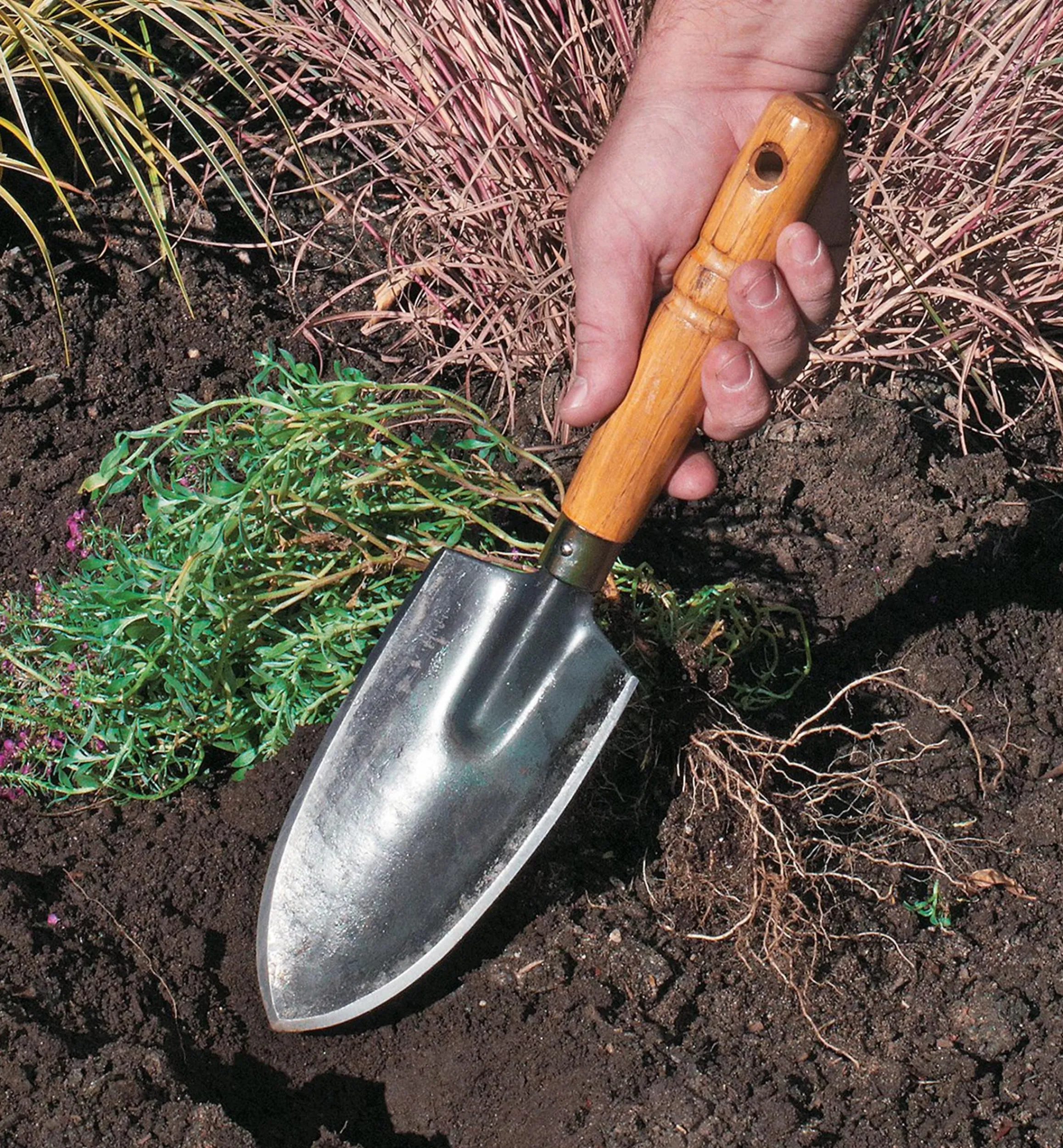 Lee Valley Trowels>Forged Japanese Trowels