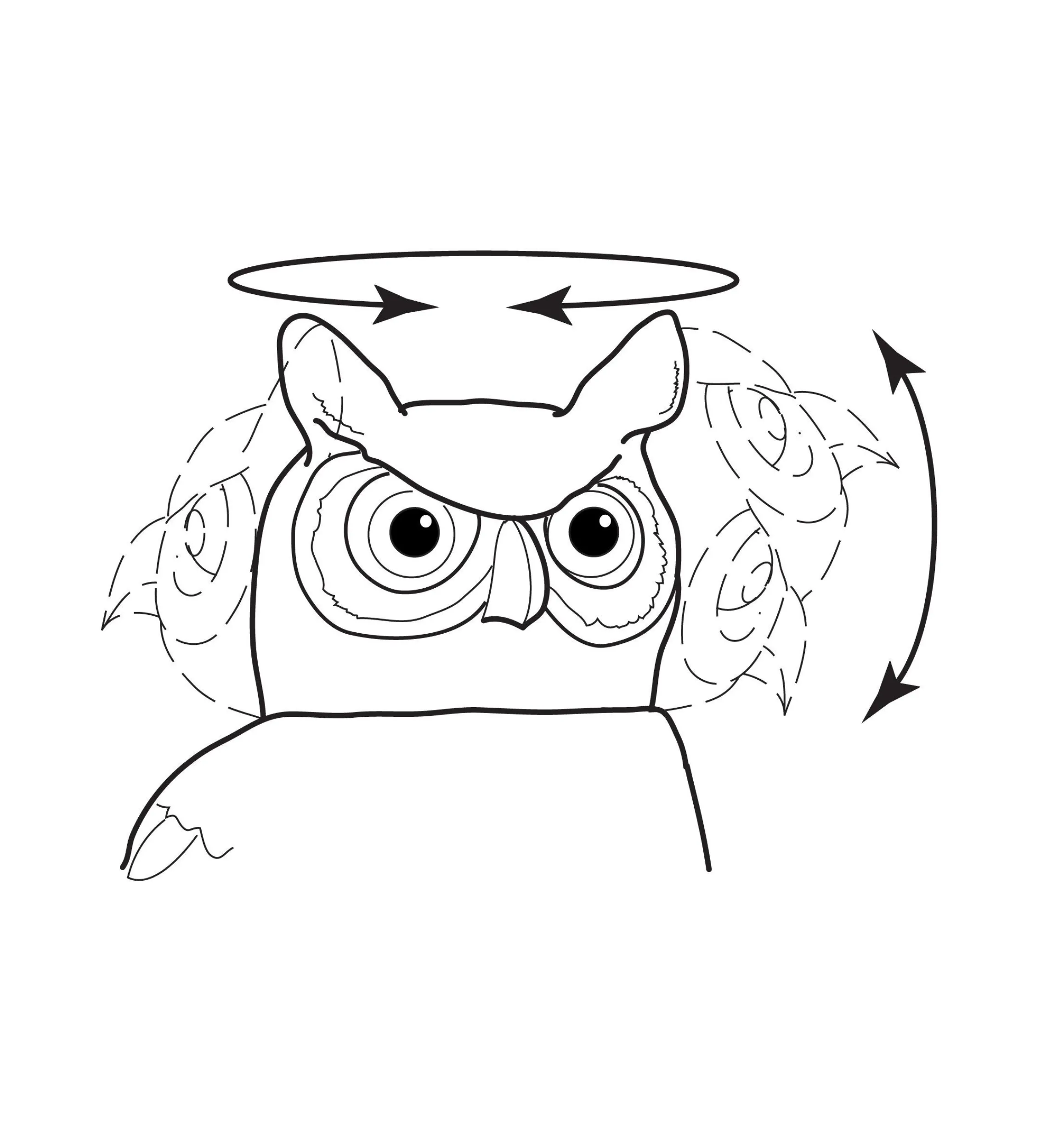 Lee Valley Pest Control>Garden Scare Owl