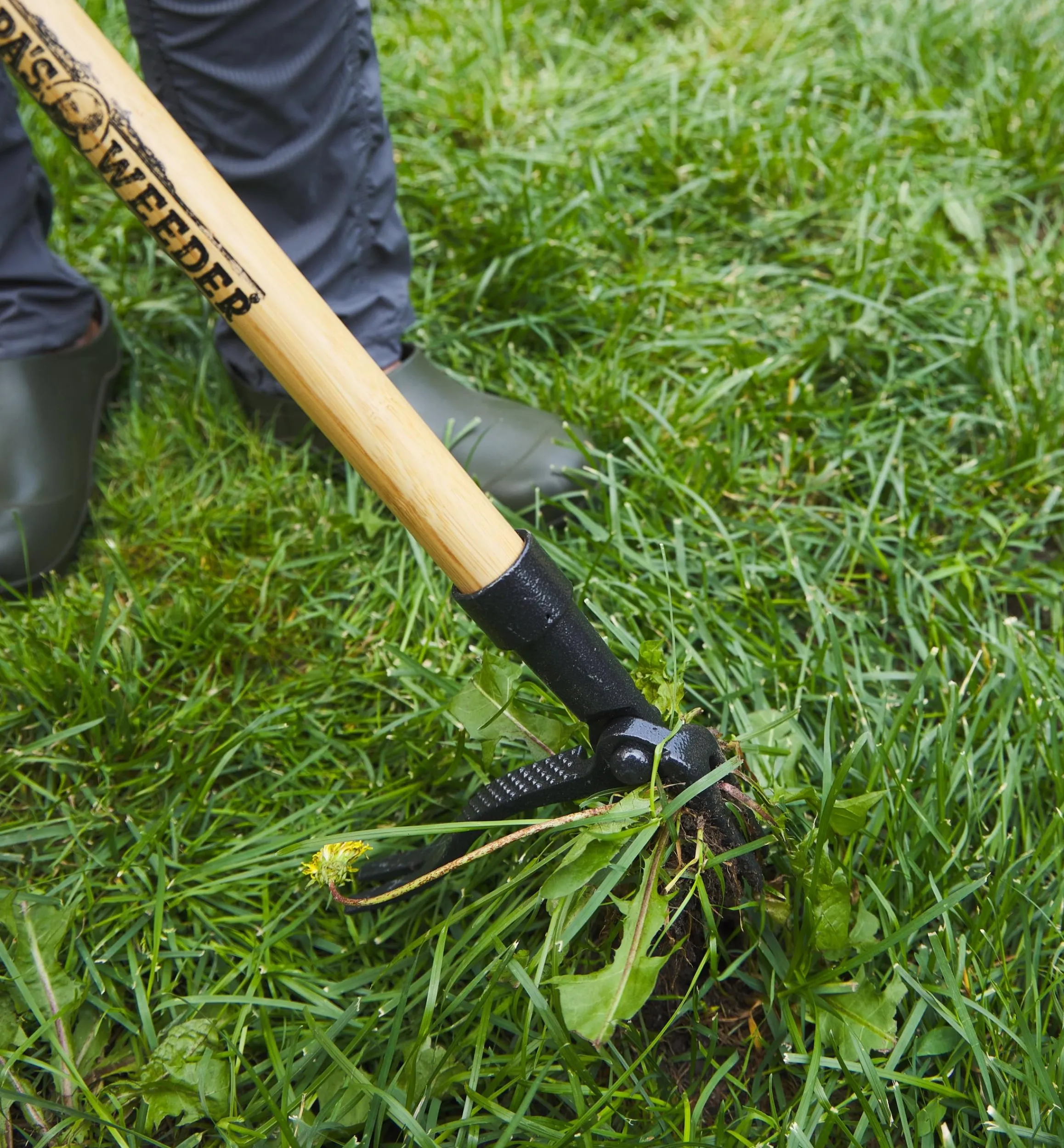 Lee Valley Weeding>Grampa's Weeder