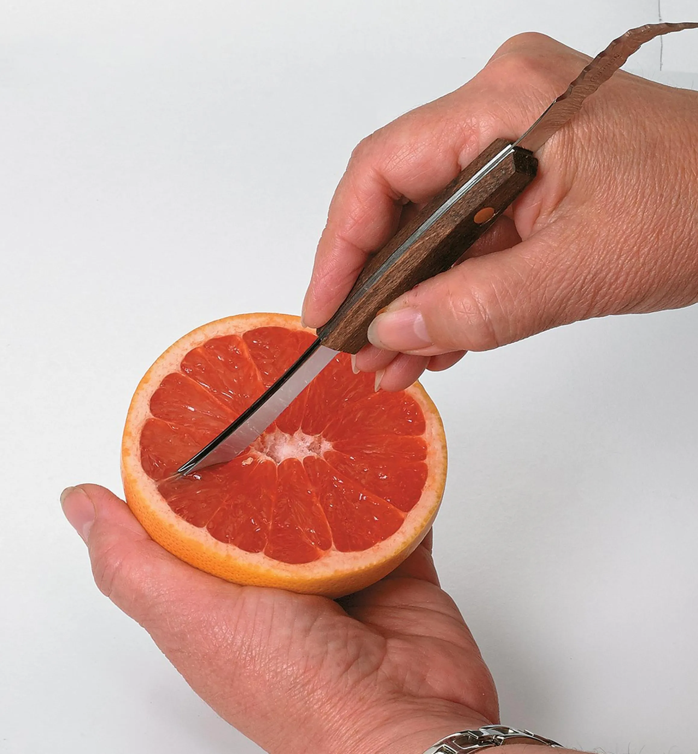 Lee Valley Knives & Cutlery>Grapefruit Knife