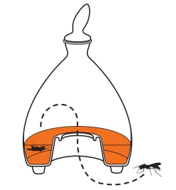 Lee Valley Pest Control><noscript><img width=