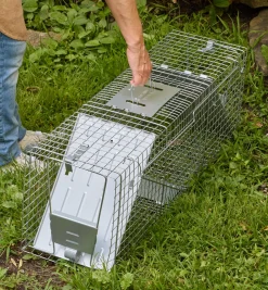 Lee Valley Pest Control><noscript><img width=
