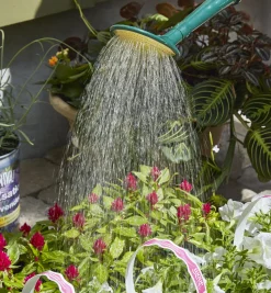 Lee Valley Indoor Gardening><noscript><img width=