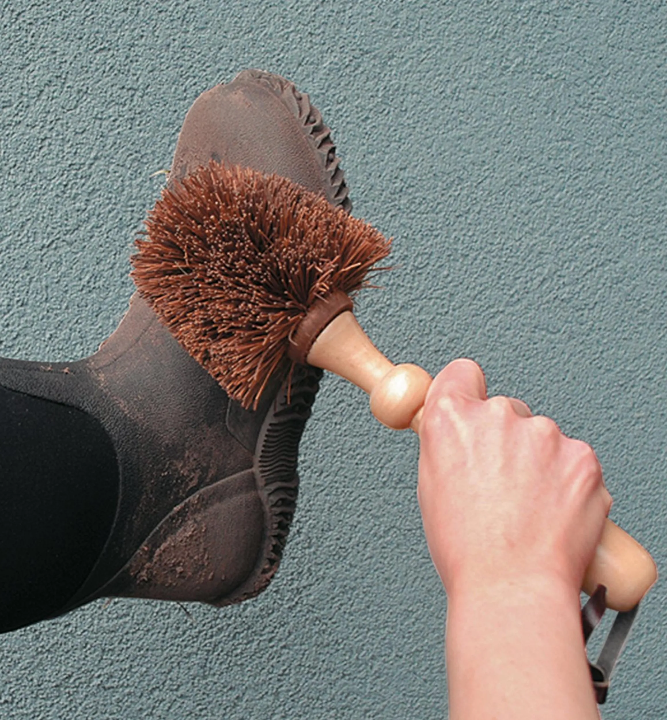 Lee Valley Garden Care>Heavy-Duty Brush