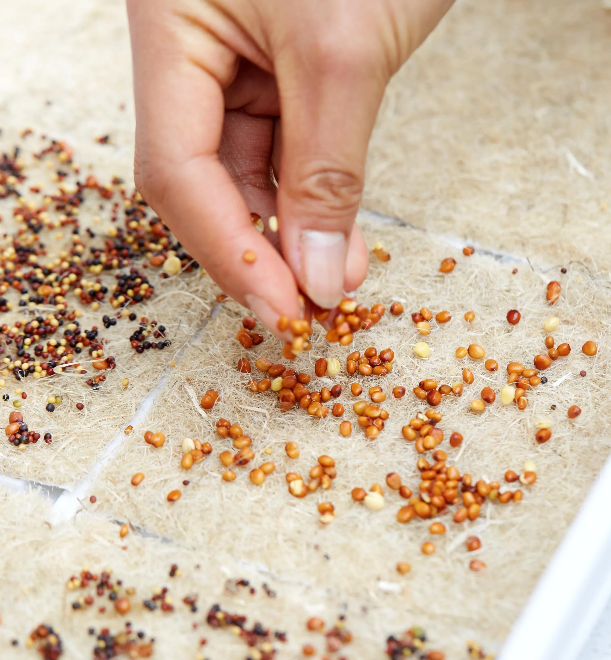 Lee Valley Seed Starting>Hemp-Fiber Grow Mats