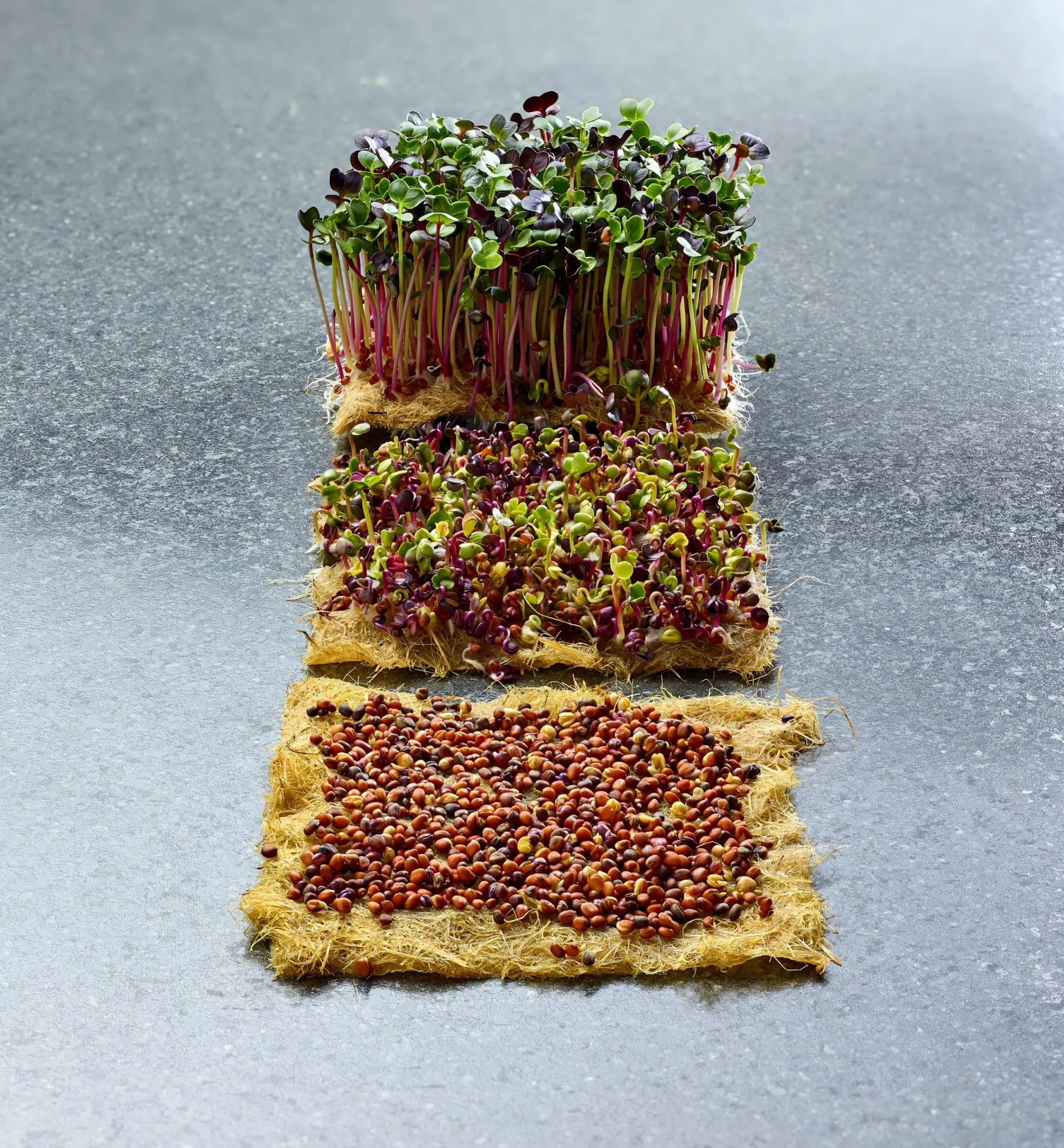 Lee Valley Seed Starting>Hemp-Fiber Grow Mats