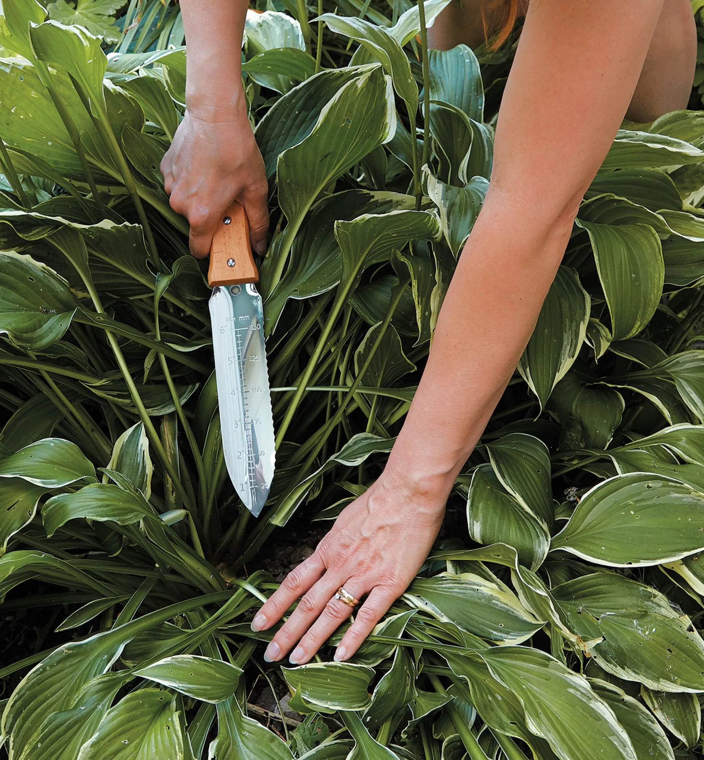 Lee Valley Garden Care>Hori Hori Knife