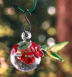 Lee Valley Birding>Hummingbird Feeder
