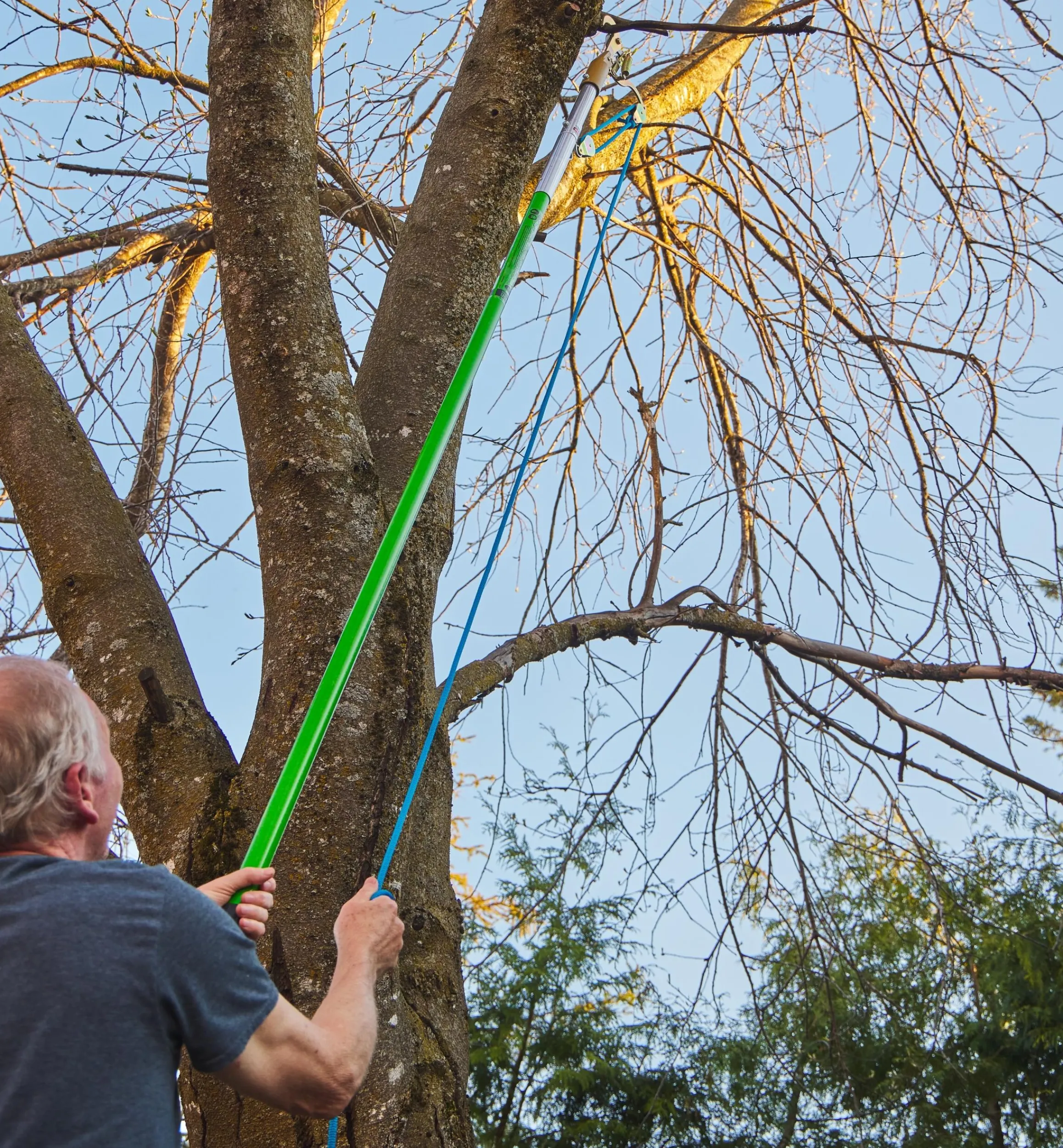 Lee Valley Pruners>Jameson Professional Tree-Pruning Kit