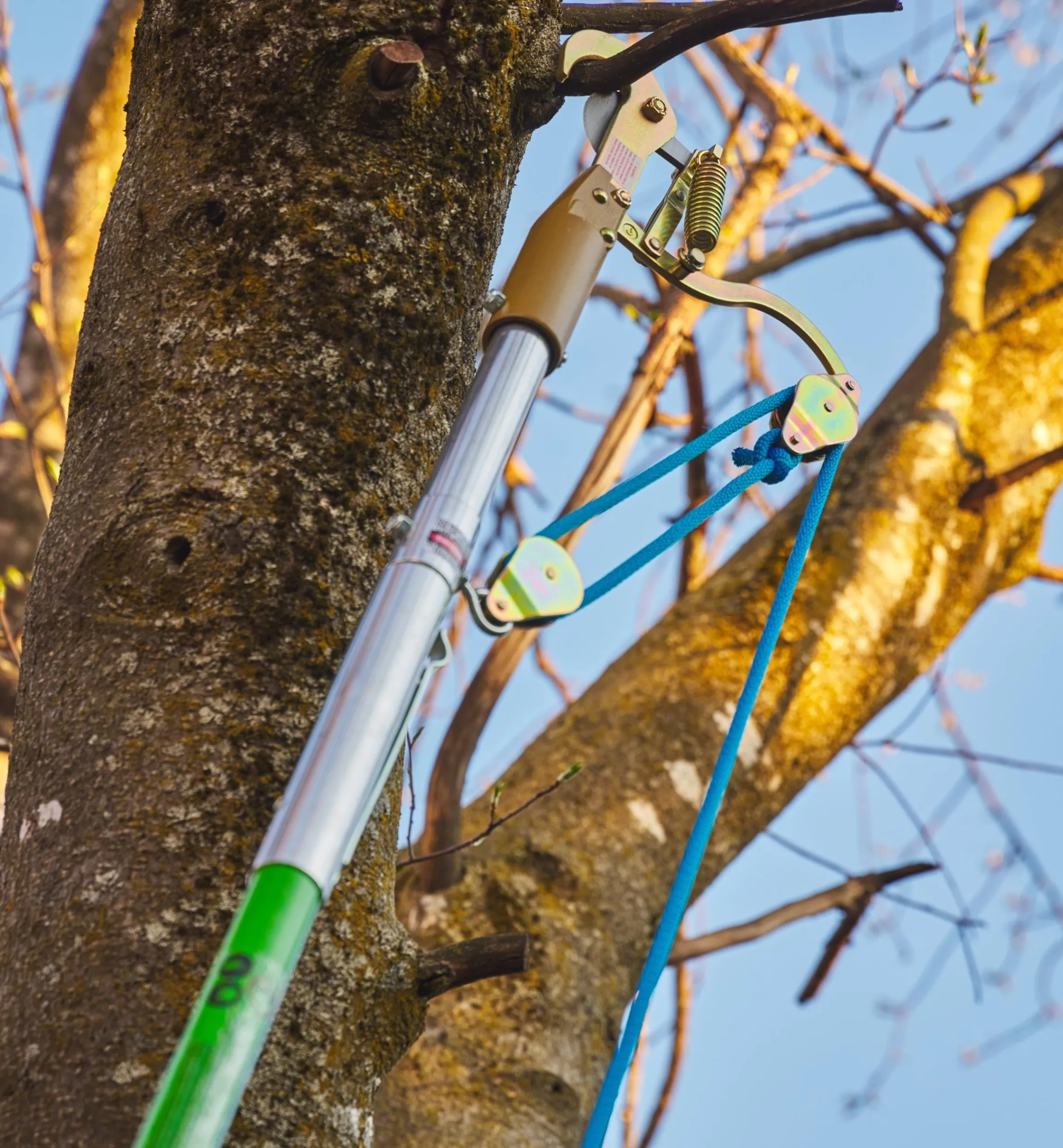 Lee Valley Pruners>Jameson Professional Tree-Pruning Kit