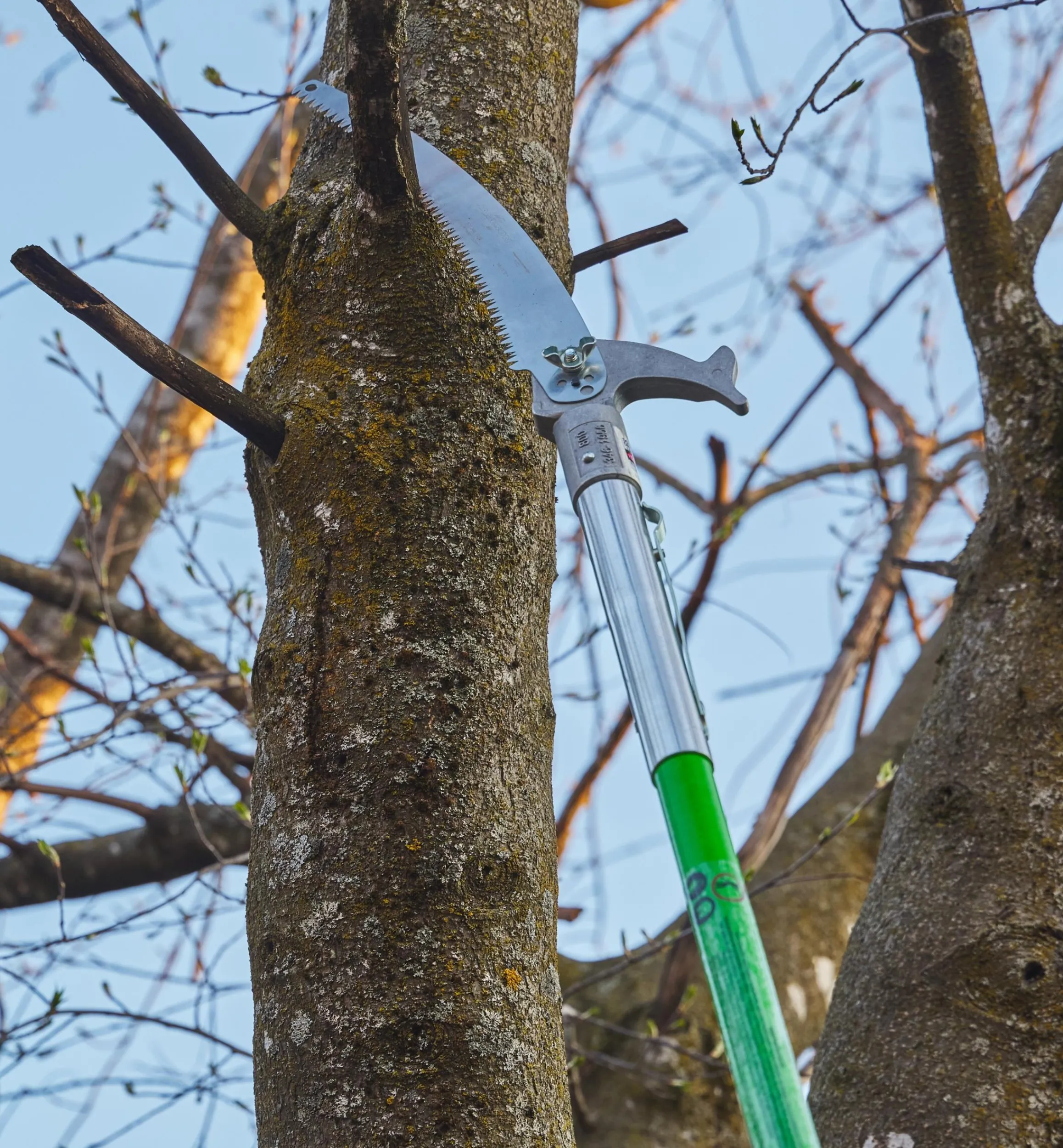 Lee Valley Pruners>Jameson Professional Tree-Pruning Kit