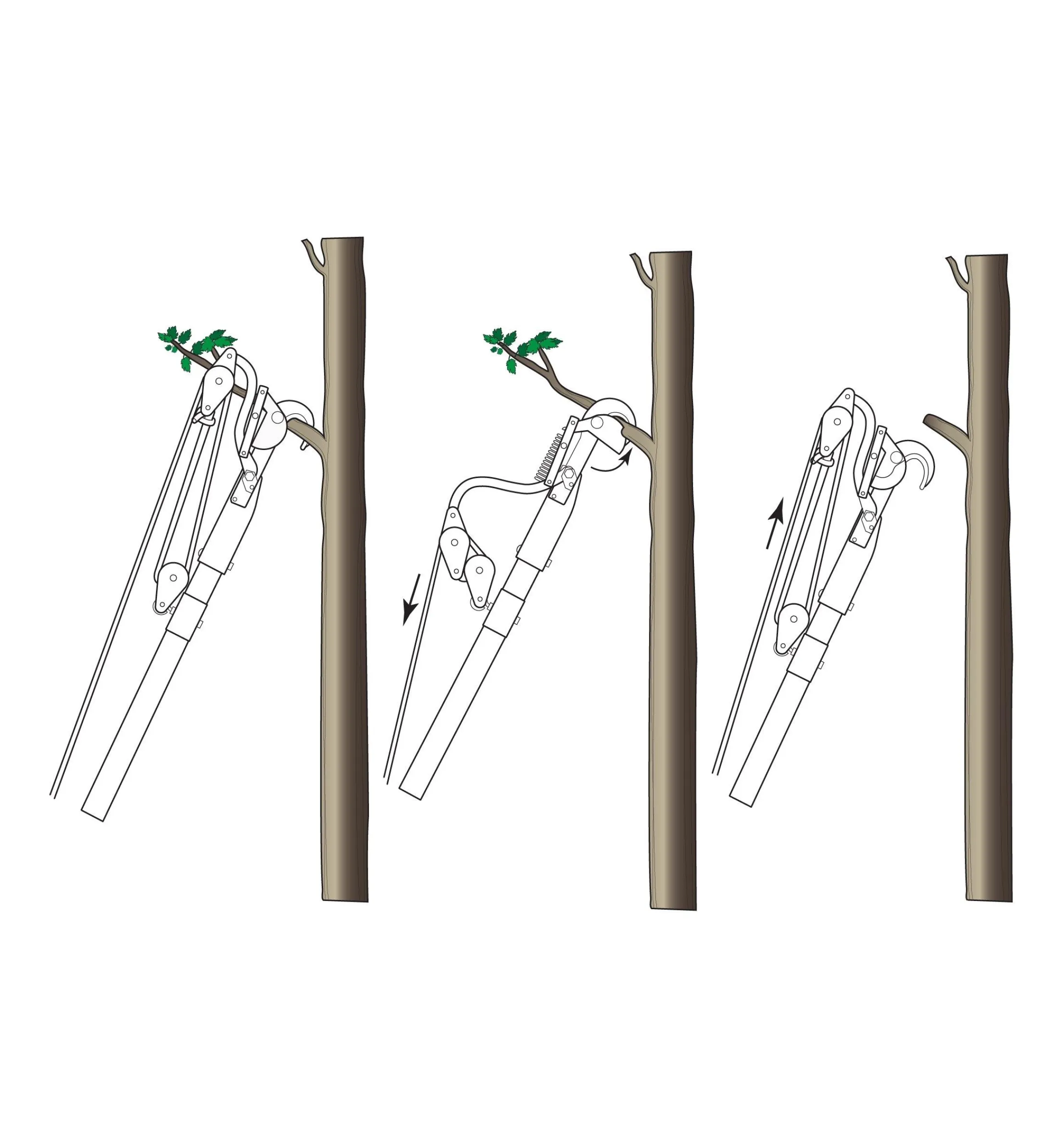 Lee Valley Pruners>Jameson Professional Tree-Pruning Kit