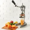 Lee Valley Mashers & Presses>Juice Press