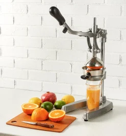 Lee Valley Mashers & Presses>Juice Press