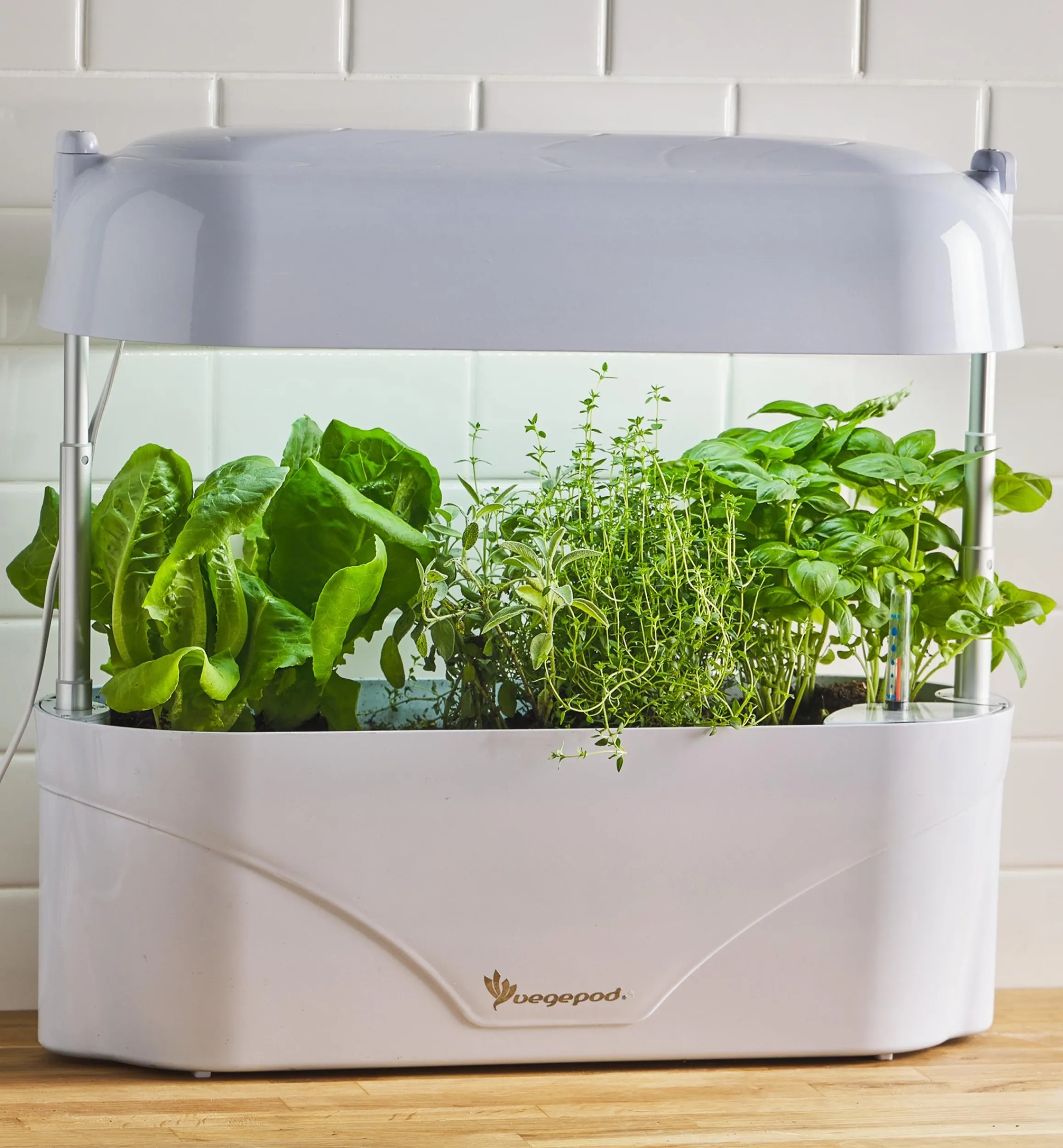 Lee Valley Grow Lights>LED Grow Light & Planter
