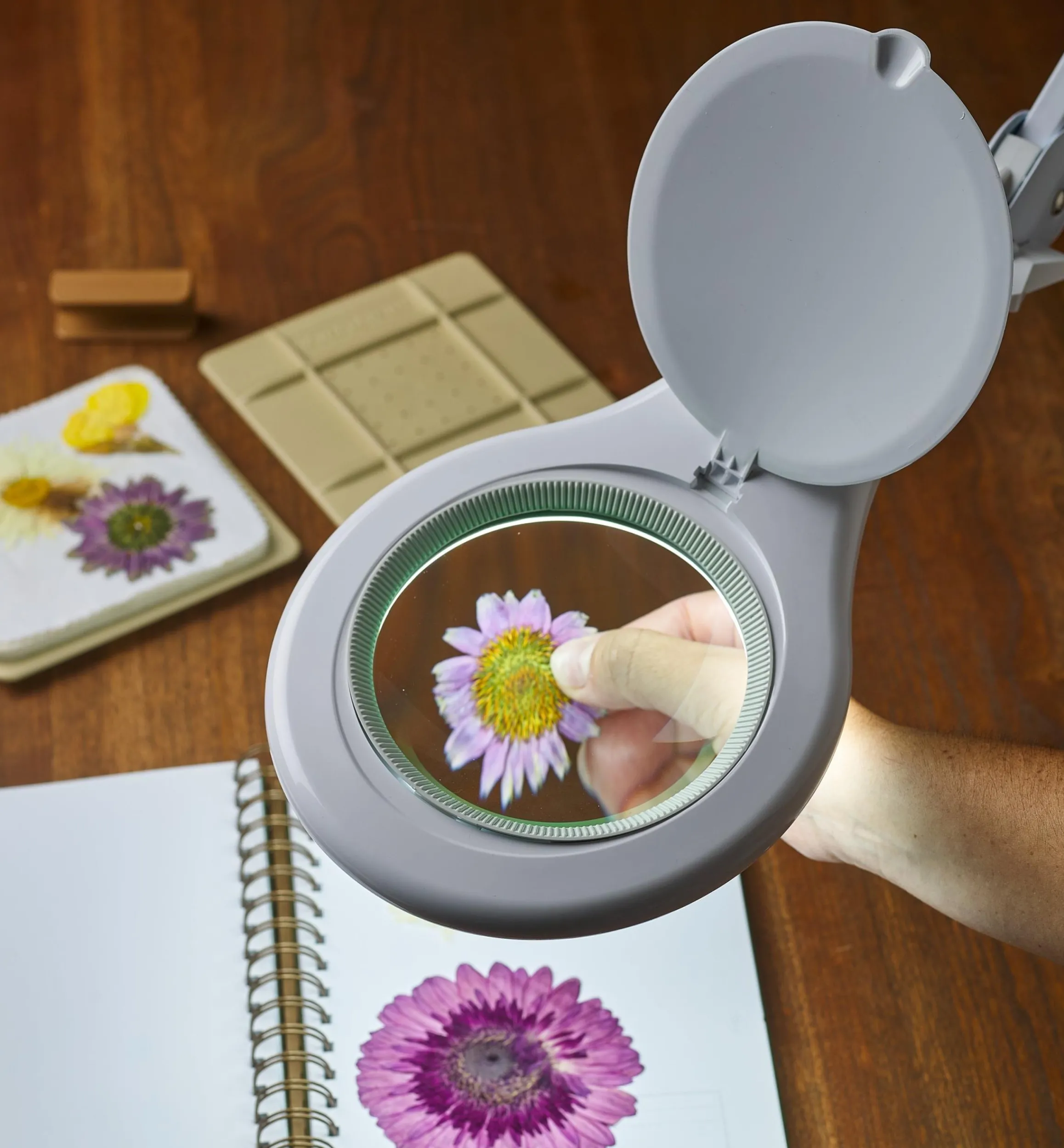 Lee Valley Lighting>LED Magnifying Bench Lamp