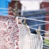 Lee Valley Laundry>Lifetime Clothespins