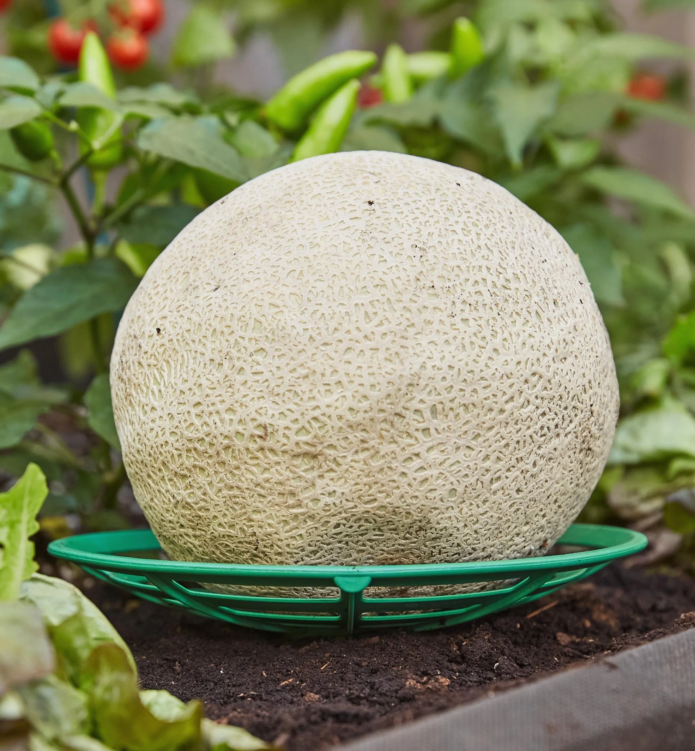 Lee Valley Garden Care>Melon/Squash Cradles