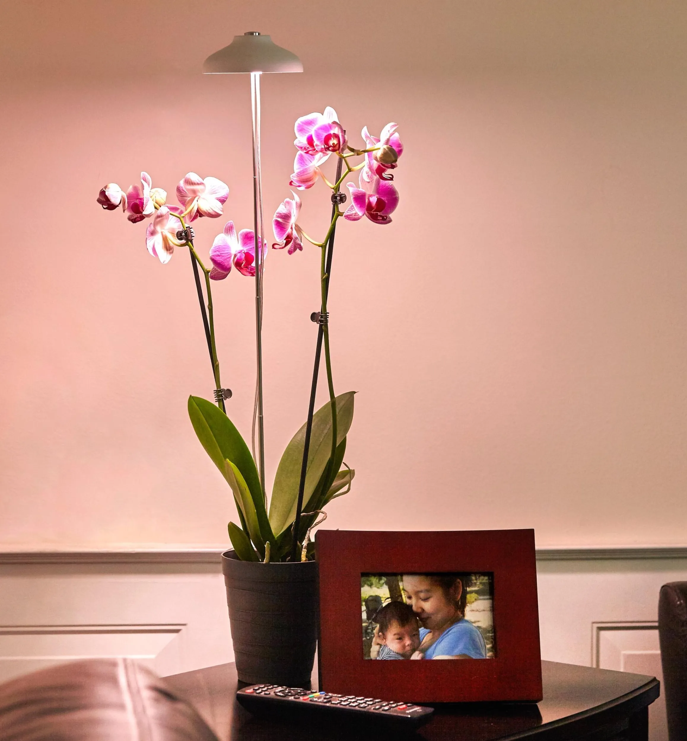 Lee Valley Grow Lights>Mini LED Grow Light