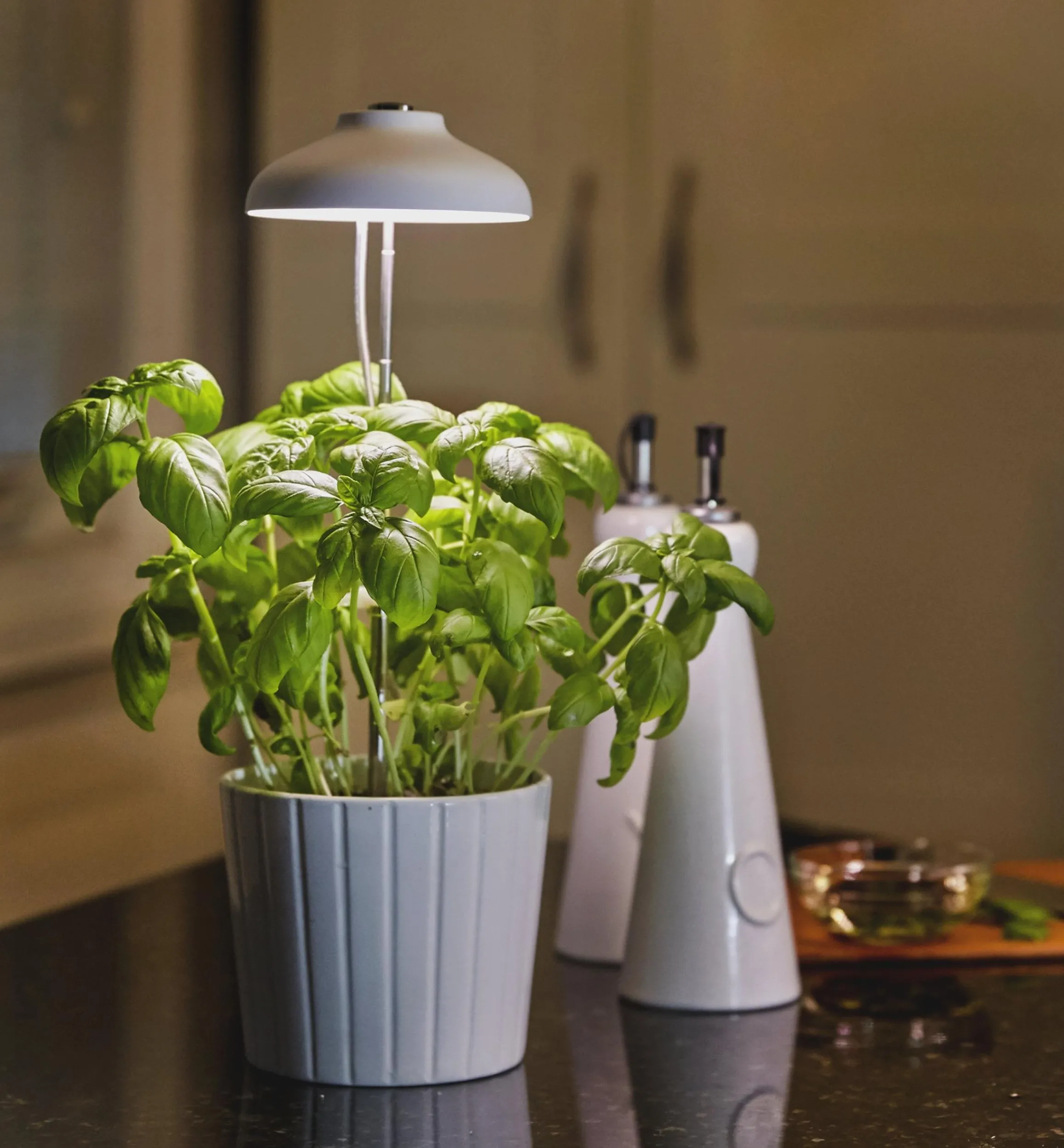 Lee Valley Grow Lights>Mini LED Grow Light