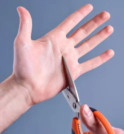 Lee Valley Scissors><noscript><img width=