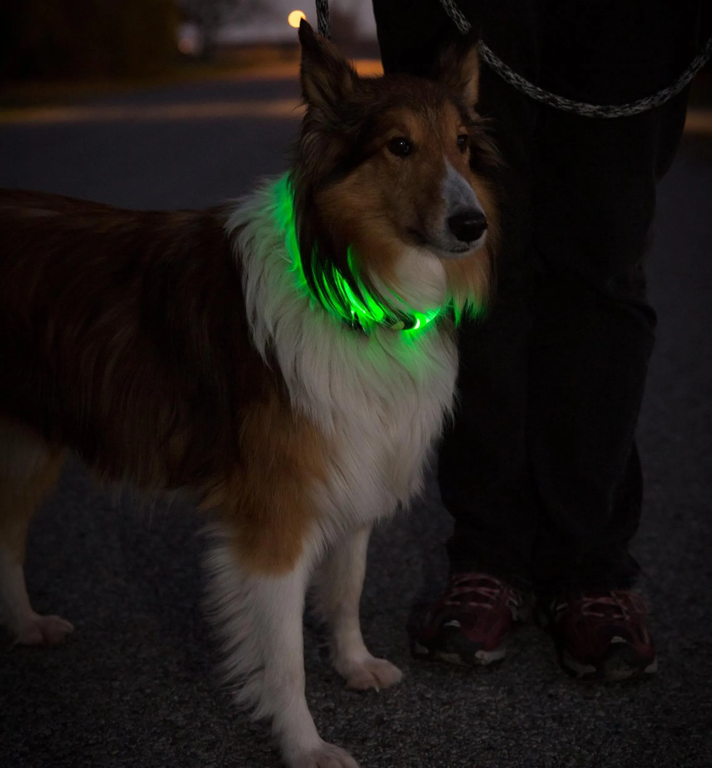 Lee Valley Personal Accessories>NiteHowl LED Pet Neckband