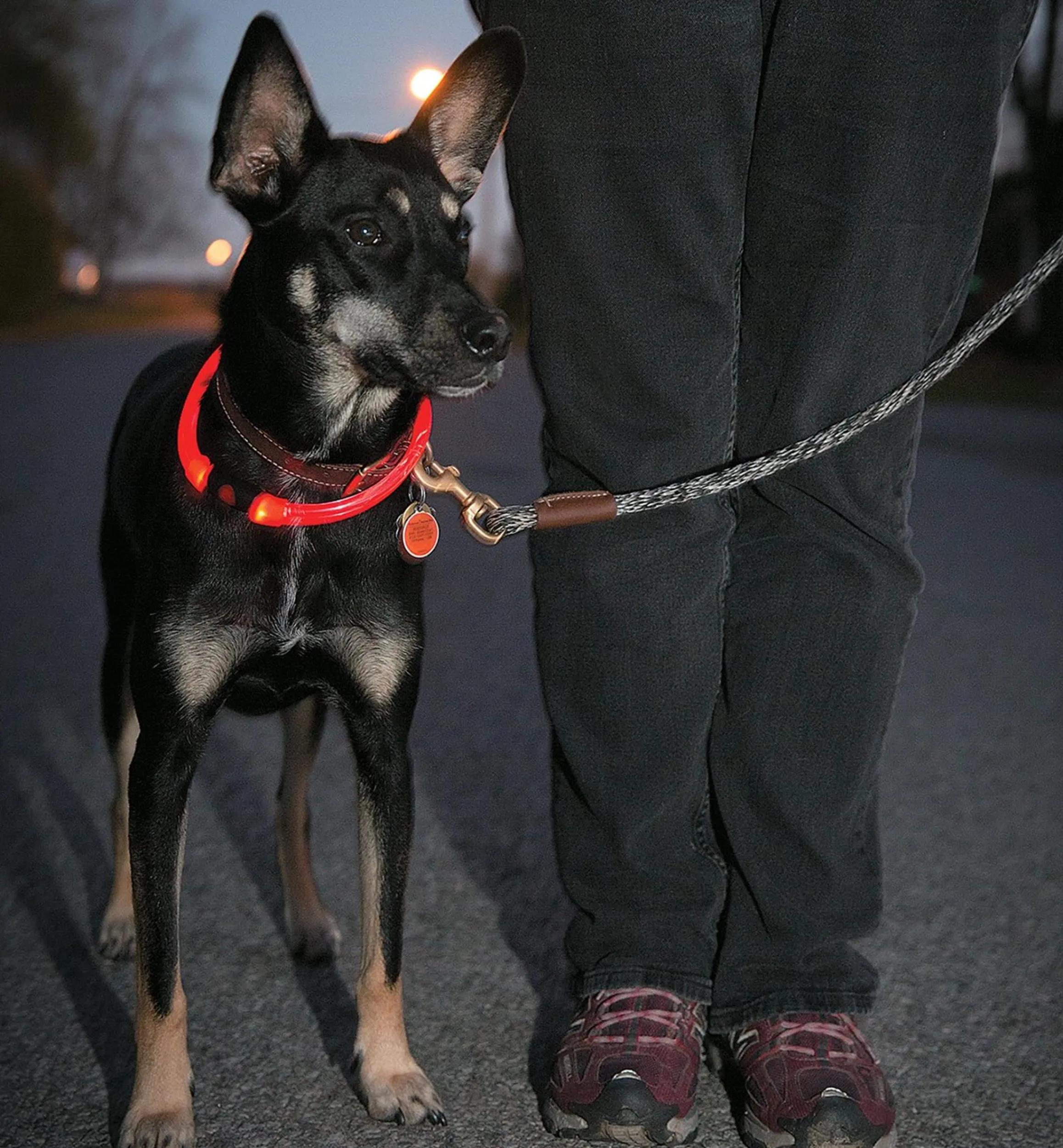 Lee Valley Personal Accessories>NiteHowl LED Pet Neckband