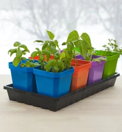 Lee Valley Seed Starting><noscript><img width=