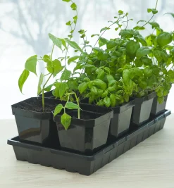 Lee Valley Seed Starting><noscript><img width=