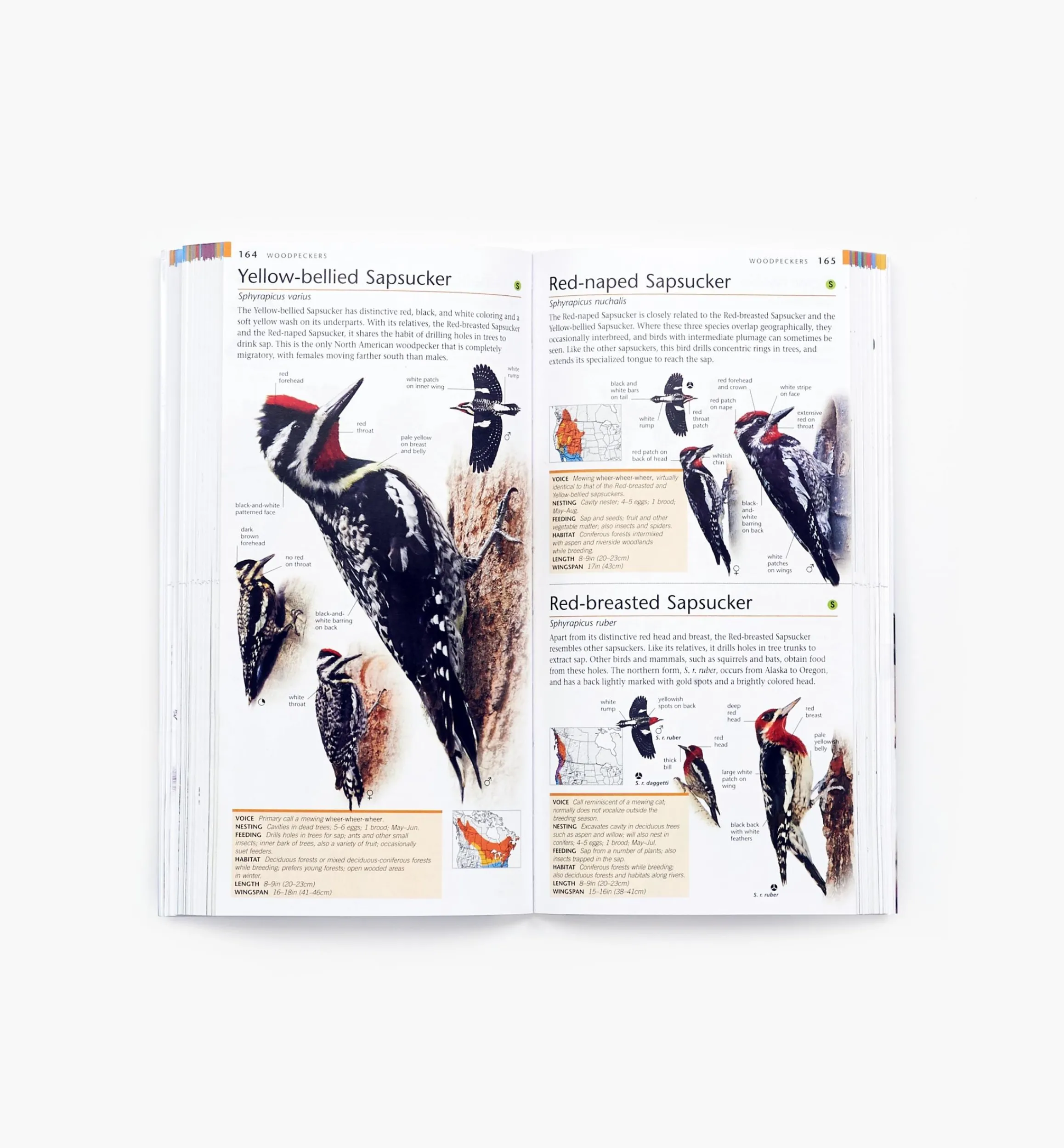 Lee Valley Birding>Pocket Birds Of Canada, 2nd Edition