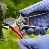 Lee Valley Pruners>Pocket Pruner
