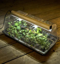 Lee Valley Seed Starting><noscript><img width=