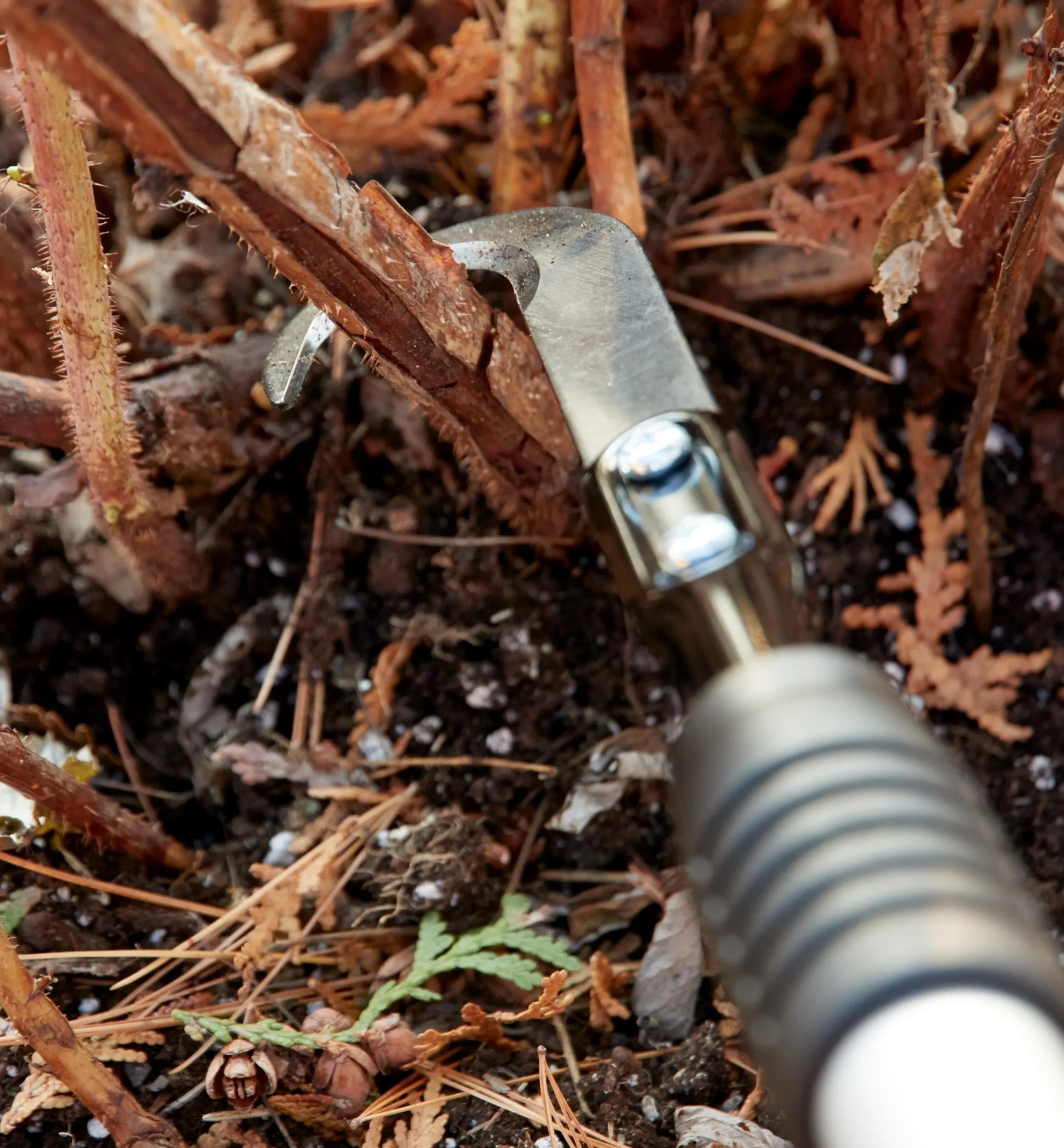 Lee Valley Pruners>Raspberry Cane Cutter