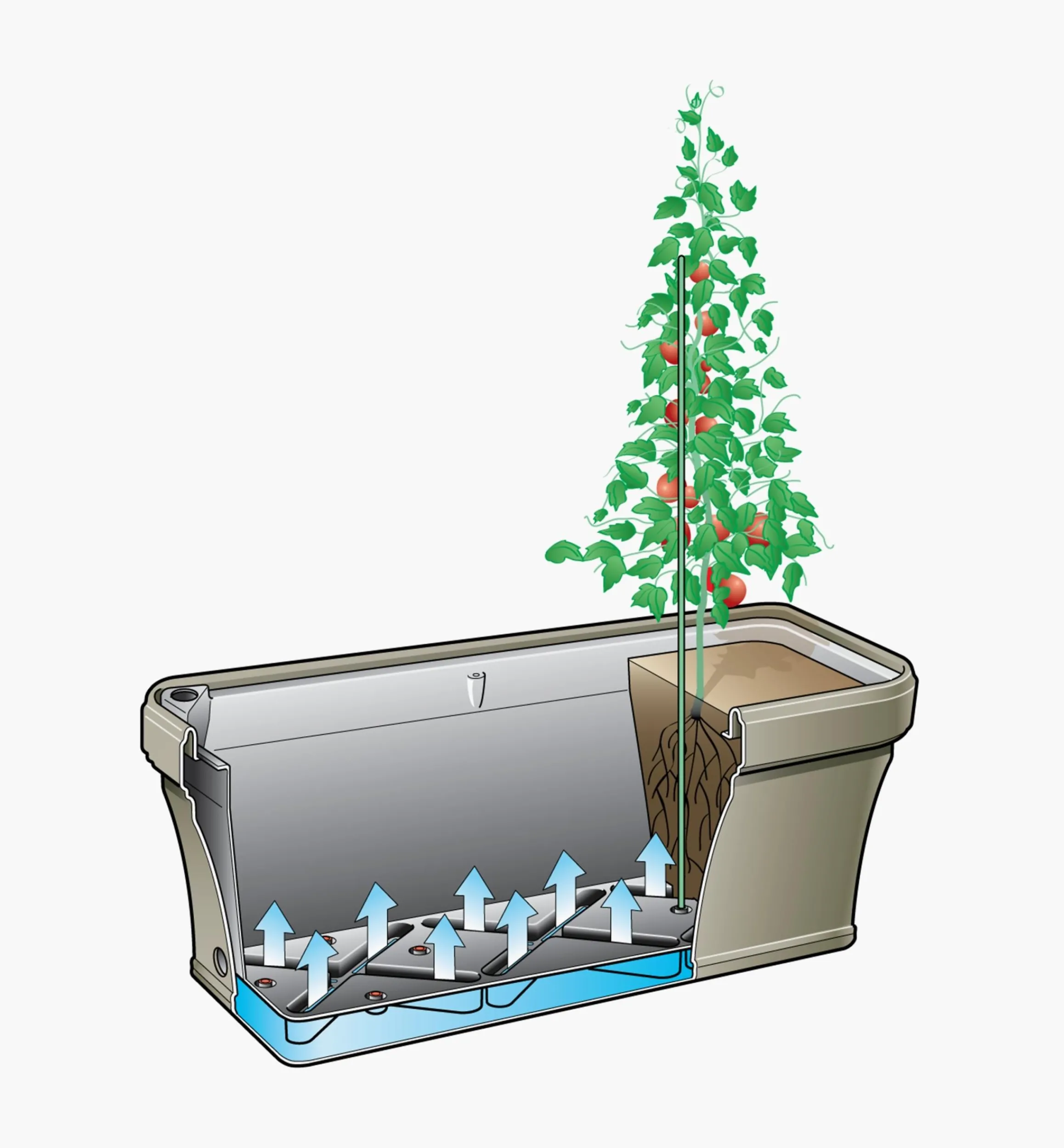 Lee Valley Container Gardening>Self-Watering Planter